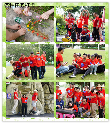 戶外團(tuán)建活動(dòng)丨凝聚力量，激勵(lì)前行(圖10)